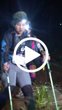 BIB:  <button type="button" onclick="openModal(27569153)" class="btn btn-primary btn-sm float-right" data-toggle="modal" data-target=".modal-high-quality">
                <i class="fa fa-download"></i> Download
                </button>